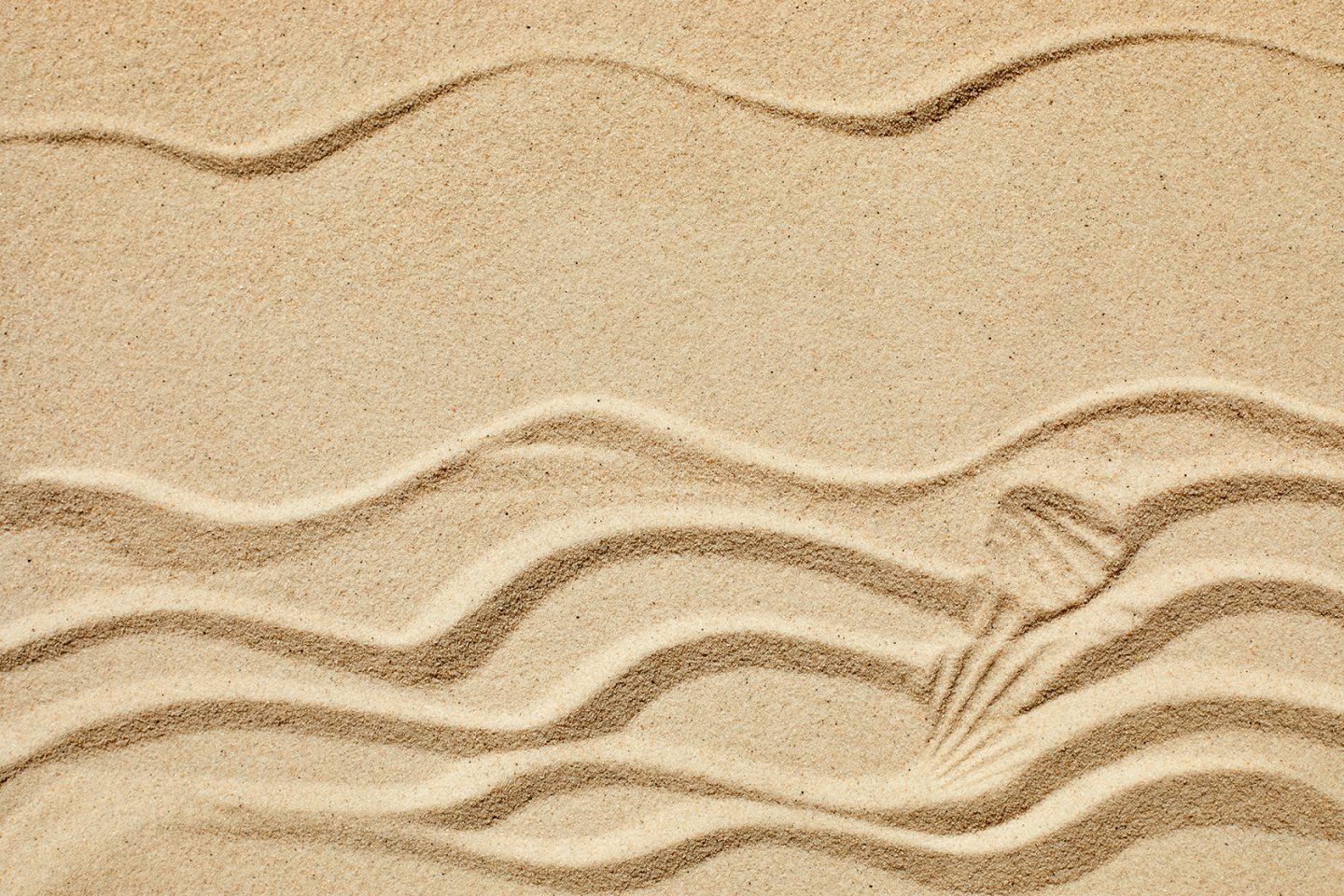 Sable avec mouvements de vagues et formes de coquillages