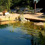 piscine naturelle avec transat et eau