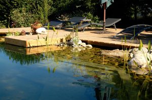 piscine naturelle avec transat et eau