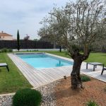 Piscine enterree avec terrasse en bois dans un jardin avec olivier