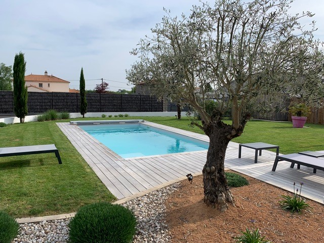 Piscine enterree avec terrasse en bois dans un jardin avec olivier